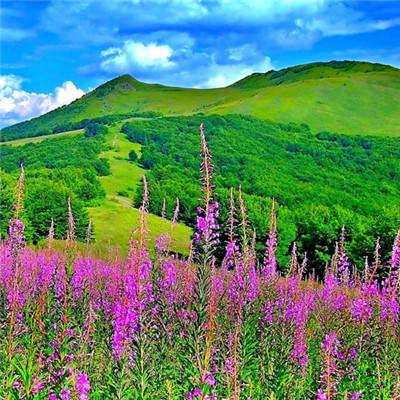 欢乐家十大流通股东格局生变：瑞银集团等新进，李康荣等退出，广发证券等增持，广东豪兴投资有限公司等减持